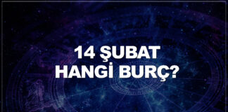 14 şubat hangi burç