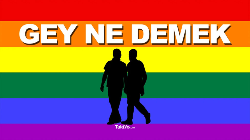 gey ne demek gay ne demek