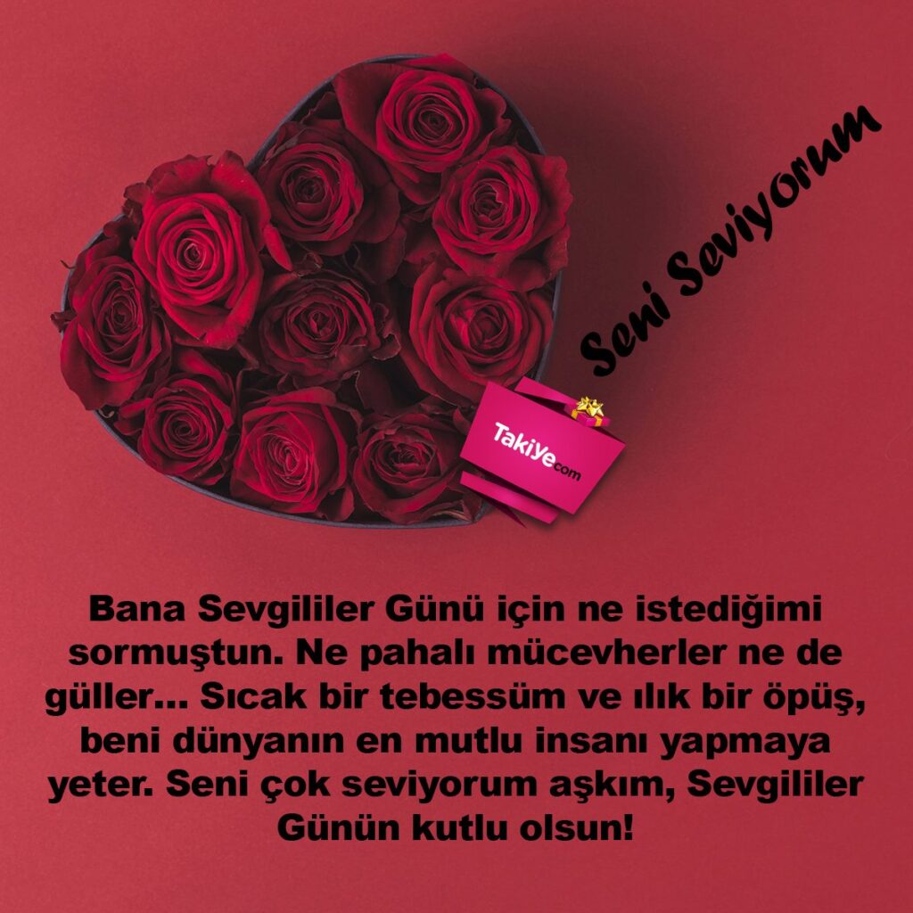 sevgililer günü mesajları