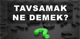 tavsamak ne demek