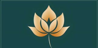 lotus çiçeği anlamı