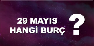 29 mayıs hangi burç