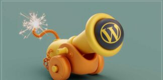 wordpress güvenli olmayan eklentiler