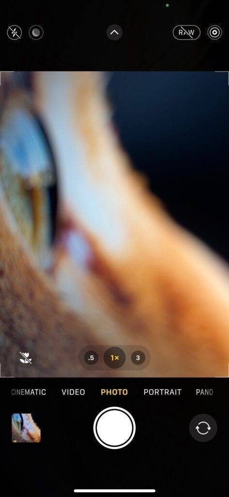 iphone makro fotoğraf nasıl çekilir