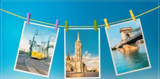 Chrome’da Görseller Neden WebP Olarak İndiriliyor Nasıl Düzeltilir? webp görseller jpeg png olarak nasıl kaydedilir