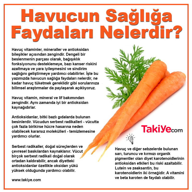 havucun sağlığa faydaları nelerdir