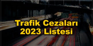 trafik cezaları 2023 listesi