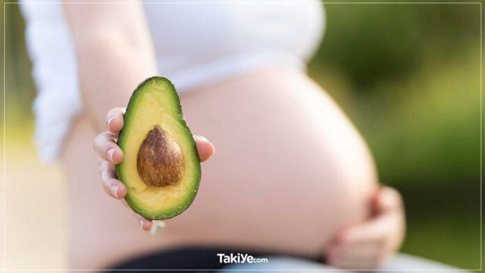 avokadonun hamilelere faydaları