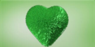 yeşil kalp anlamı