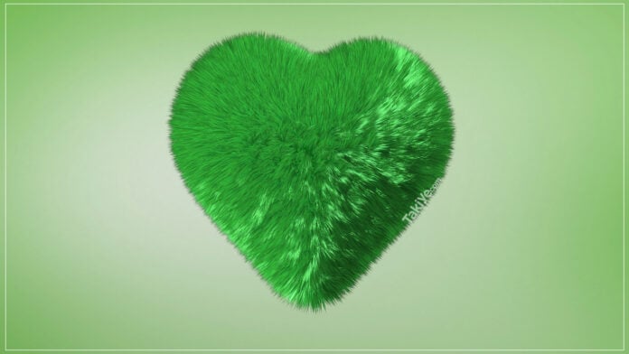 yeşil kalp anlamı