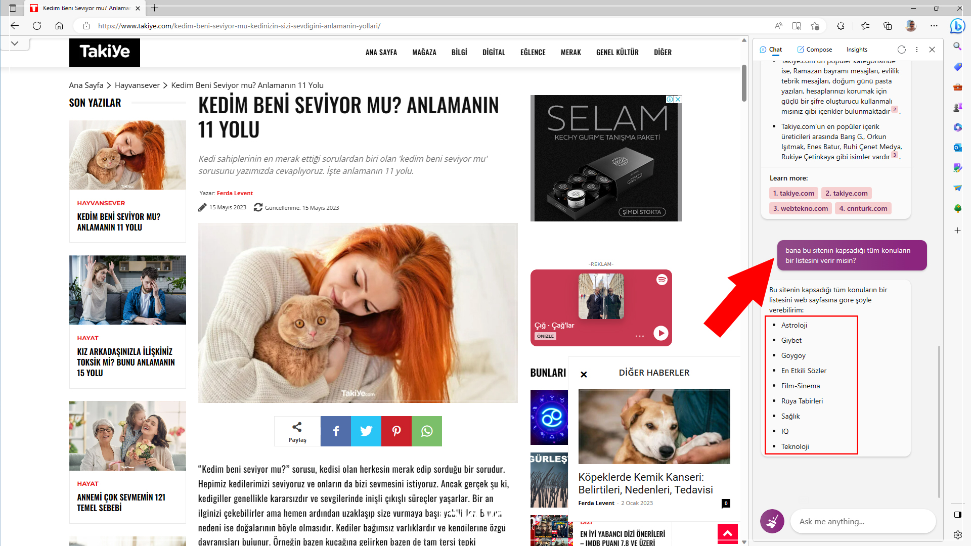 Bing AI Kenar Çubuğu (SideBar) Nasıl Kullanılır - Takiye.com