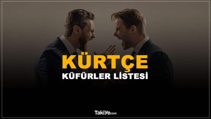 kürtçe küfürler ve anlamları