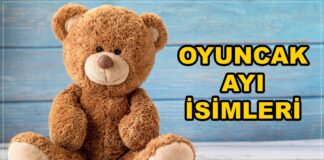 oyuncak ayı ismi. oyuncak ayı isimleri ingilizce nelerdir.