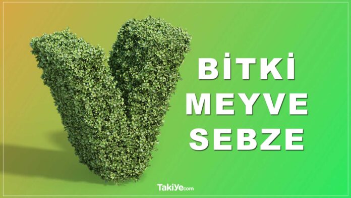 v ile bitki ismi. v ile başlayan meyveler, sebzeler, bitkiler.