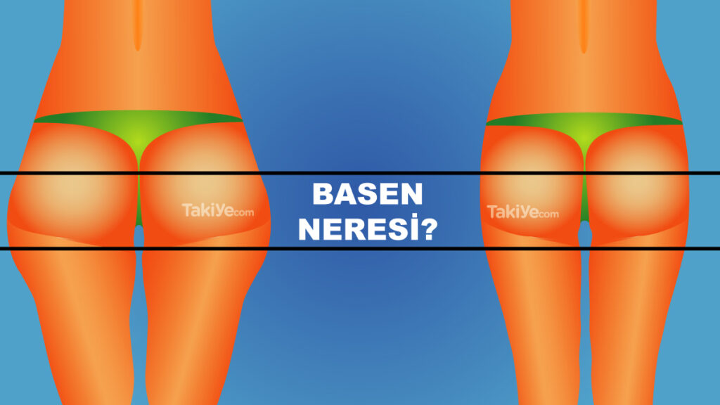 basen neresidir