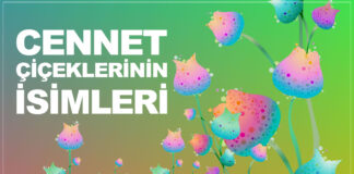 cennet çiçeklerinin isimleri