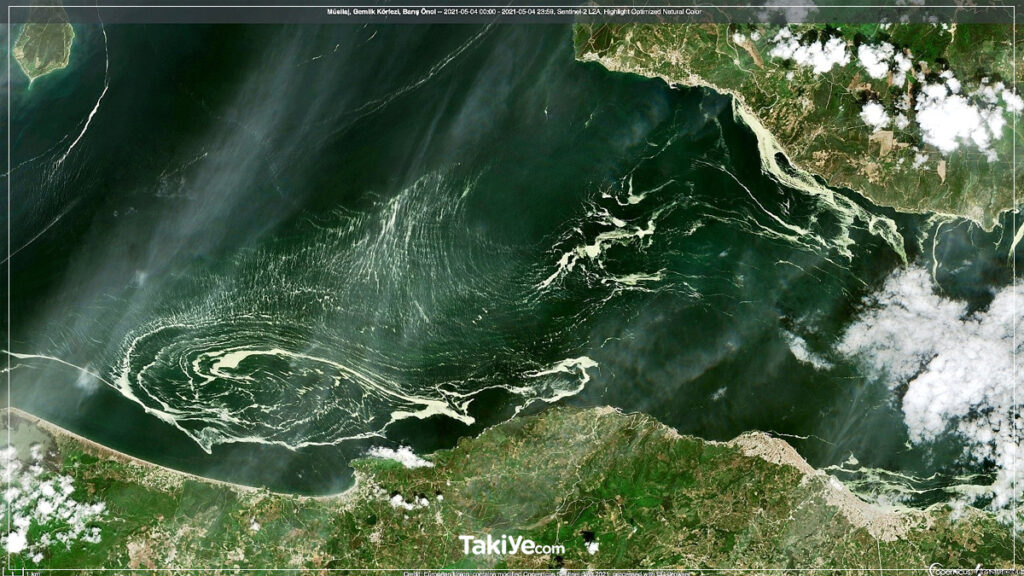 deniz salyası uydu görüntüsü