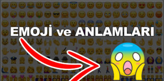 emoji ve anlamları