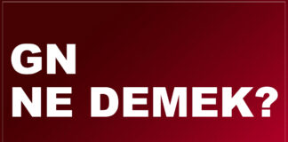 gn ne demek