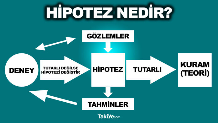 hipotez nedir