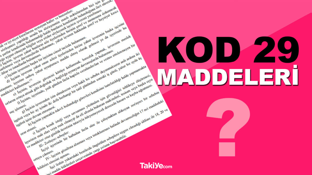 kod 29 maddesi nedir