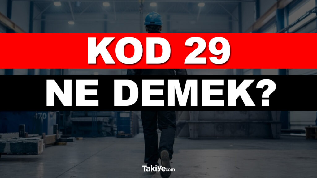 kod 29 ne demek