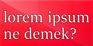 lorem ipsum ne demek