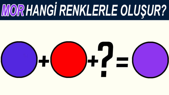 mor hangi renklerle oluşur