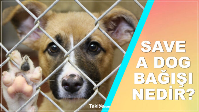 save a dog bağışı nedir