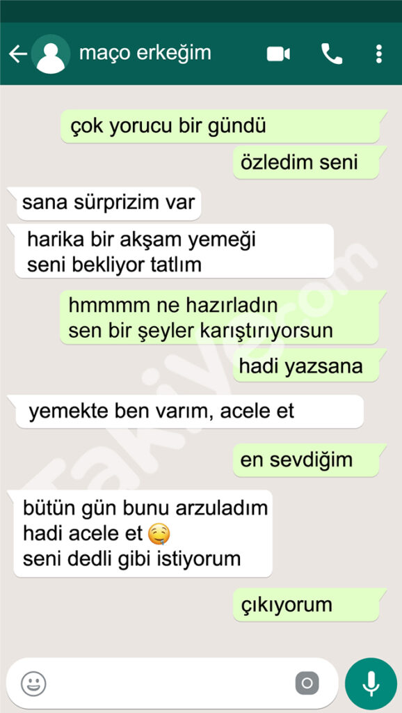 sexting cümleleri