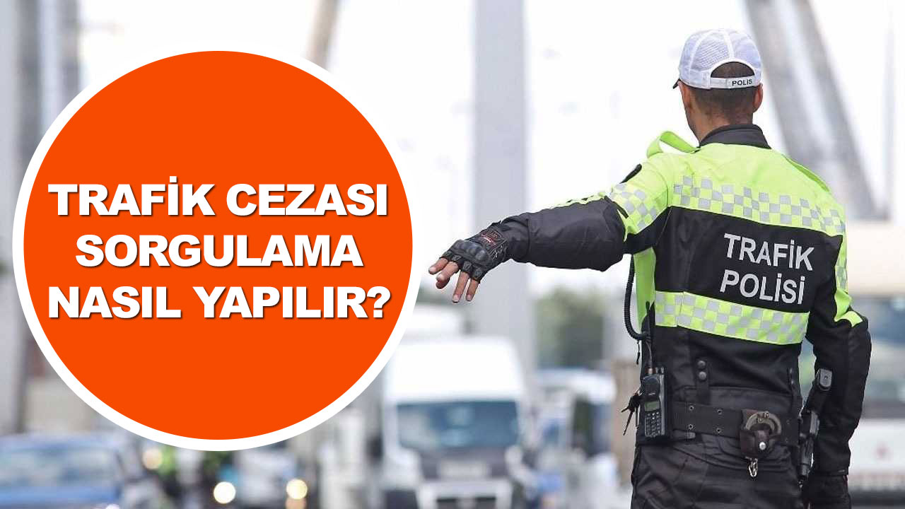 trafik cezası sorgulama