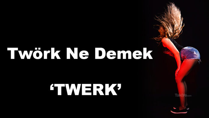 twörk ne demek, twerk ne demek