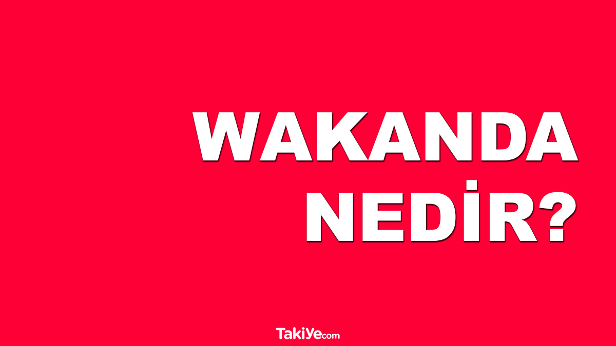 wakanda nedir. wakanda forever ne demek.