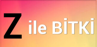 z ile bitki